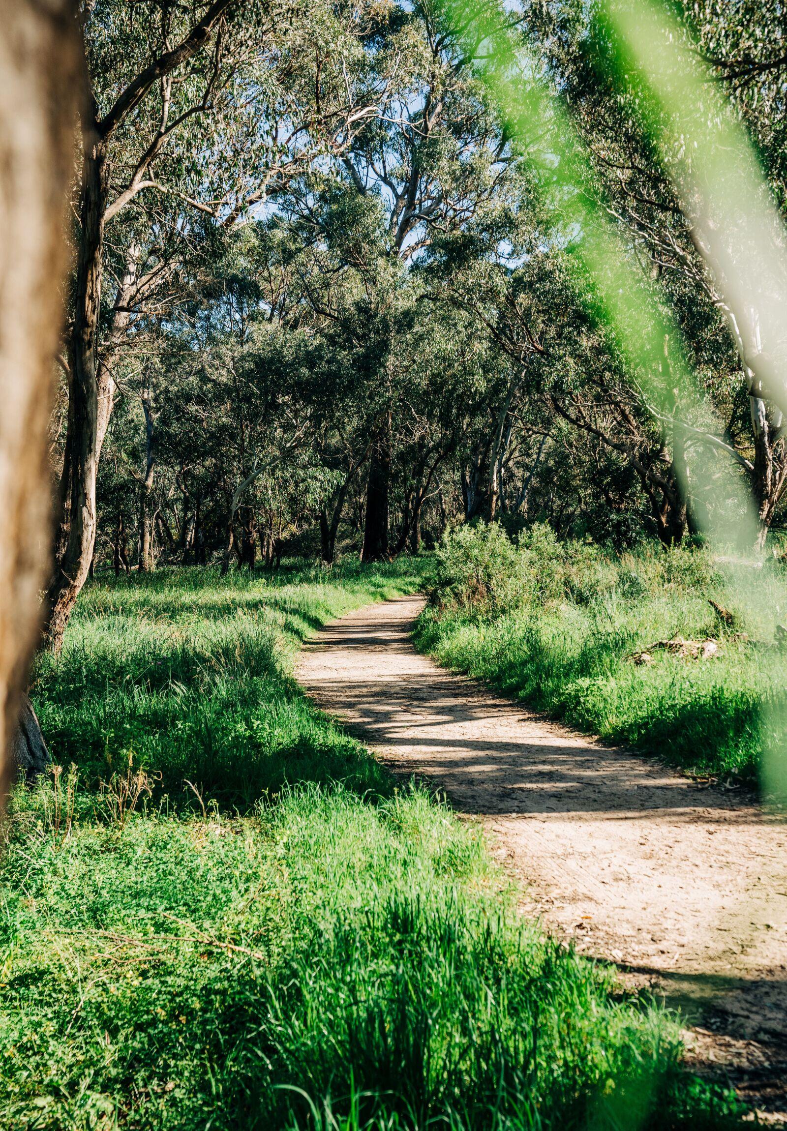 WHETHER IT'S A RUN, HIKE, OR LEISURELY STROLL; SPEND YOUR DOWNTIME MEANDERING YOUR WAY THROUGH REABOLD HILL.