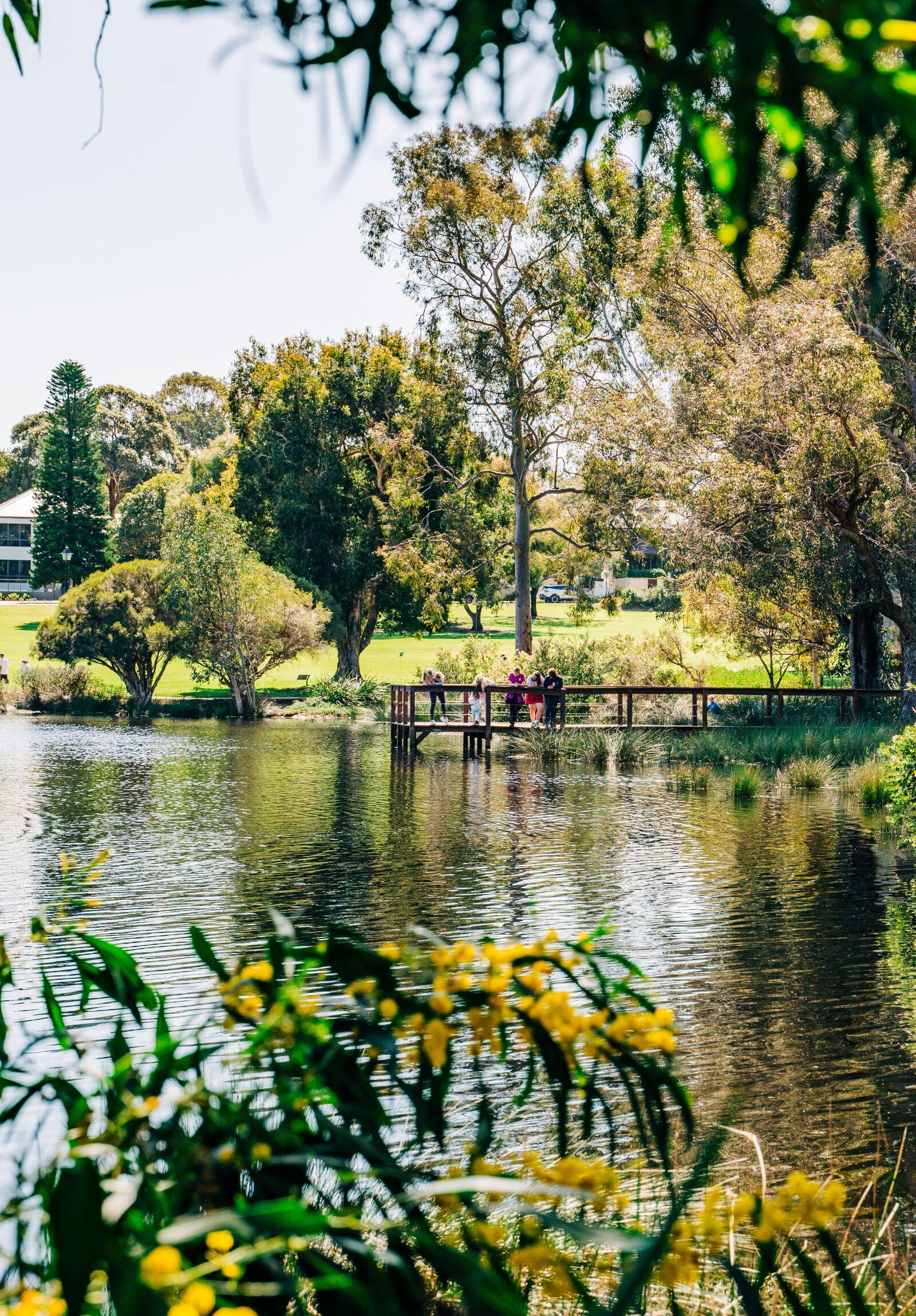 LET THE KIDS PLAY FREELY OR GET YOUR DAILY STEPS IN WITH YOUR FURRY FRIEND AT LAKE JUALBUP.